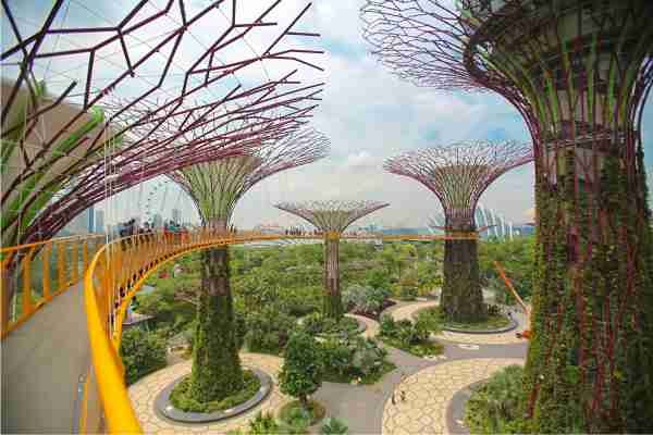 Taste Singapore Like a Local: Food, Culture & Hidden Gems 🇸🇬