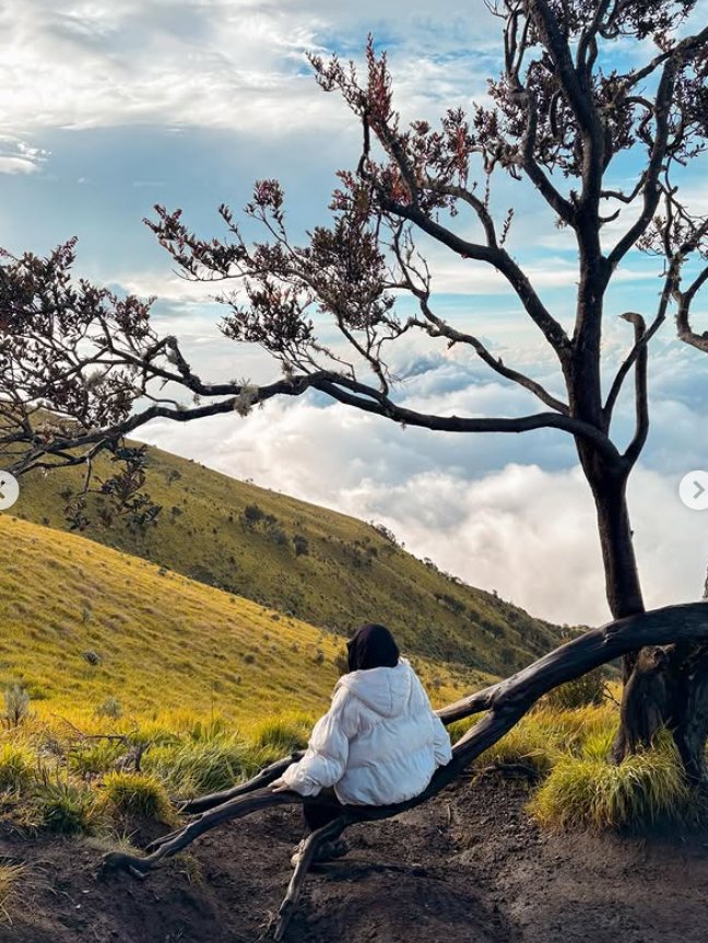 Merbabu Mountain, Via Thekelan Tour - Experience in Semarang, Indonesia 6