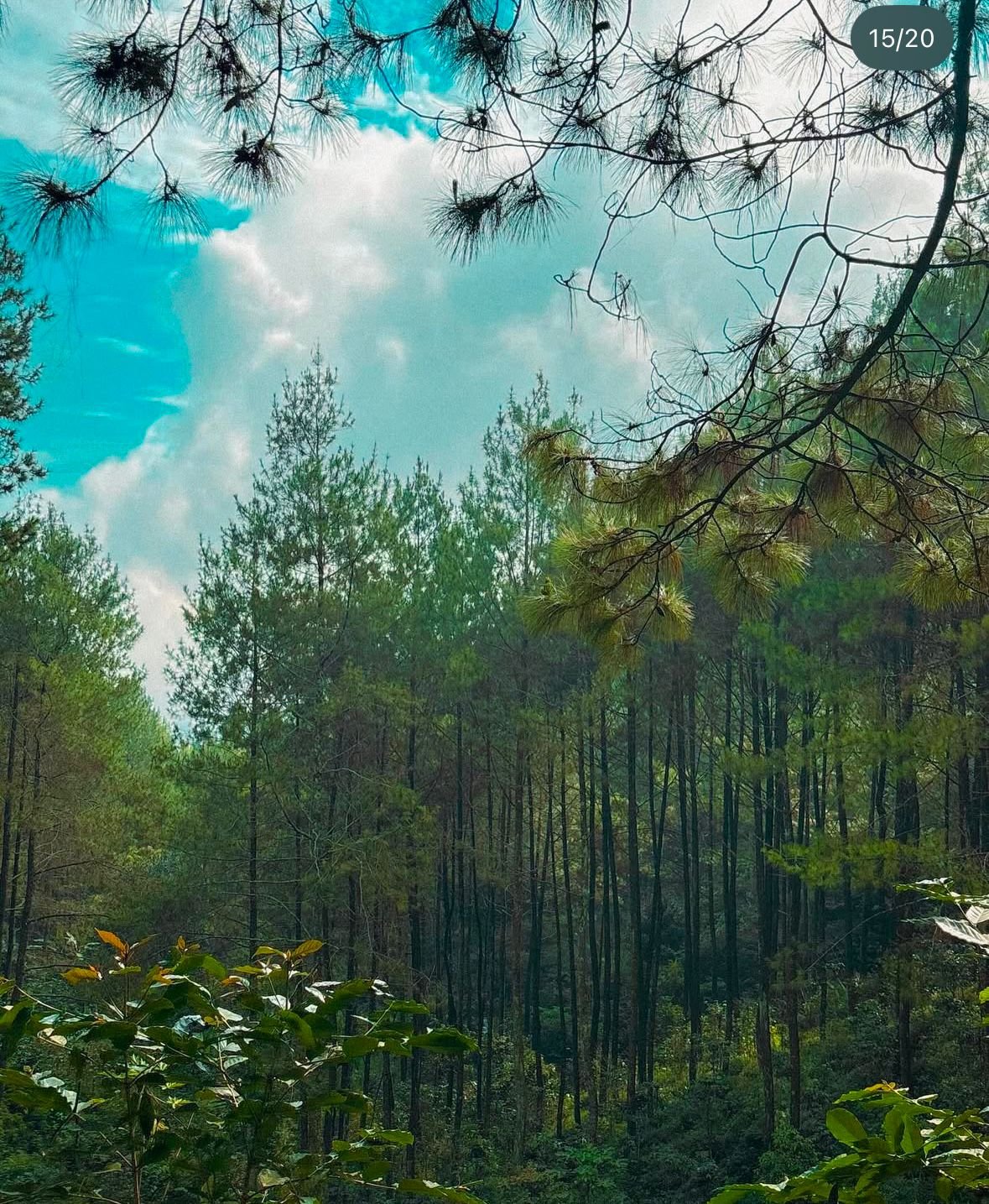 Mount Sangar Bandung: A Bold Highland Journey