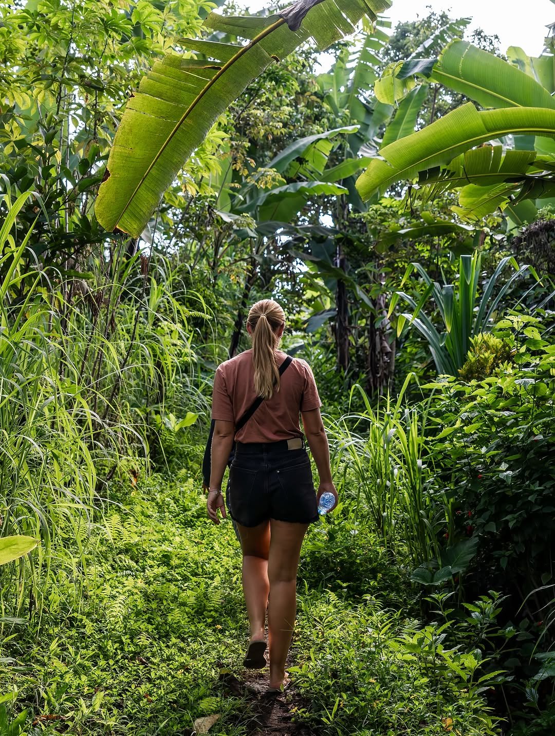 Tetebatu walking Tour: Ricefield, Waterfall, Monkey Forest. - Experience in Lombok, Indonesia 2