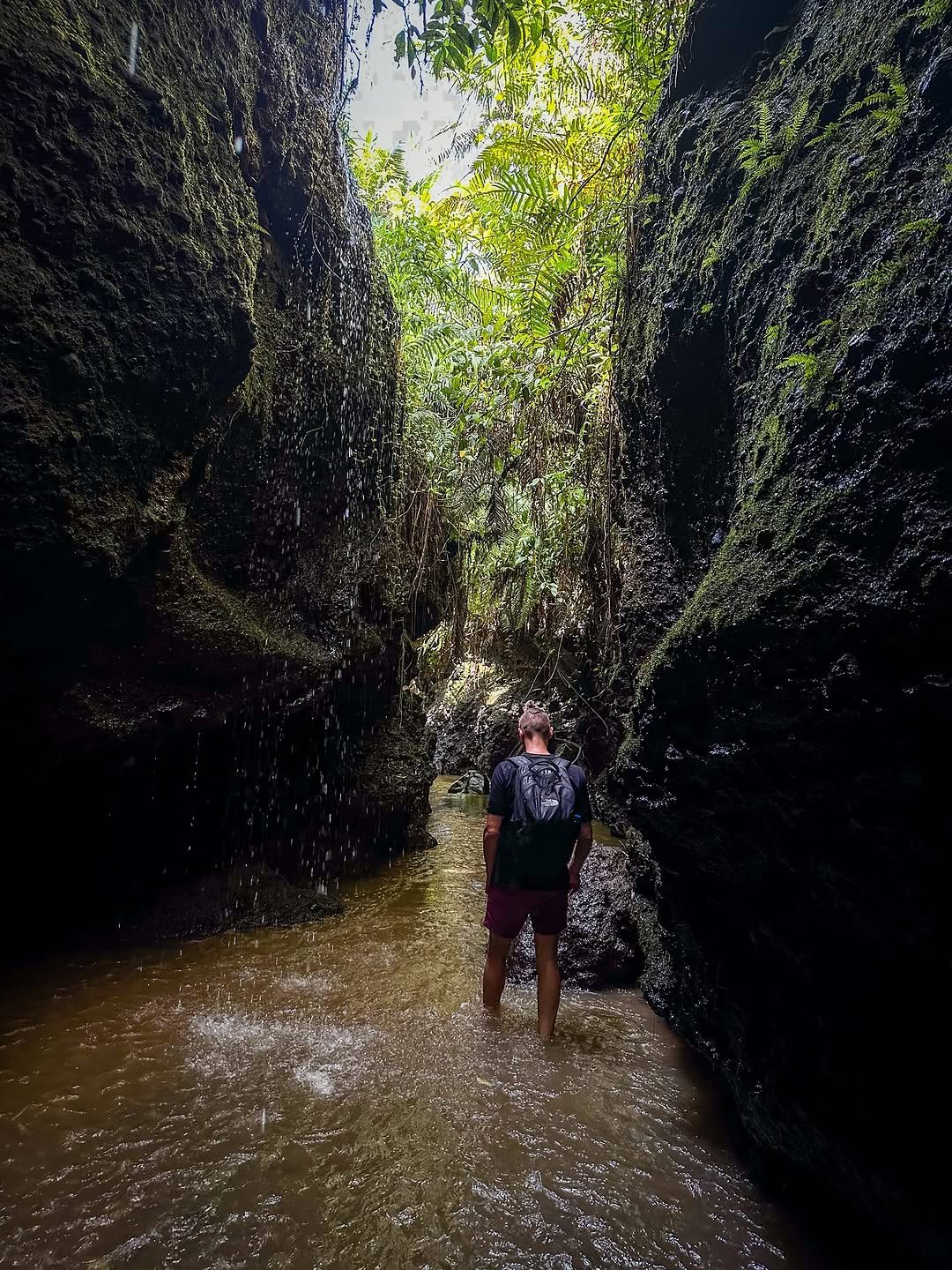 Tetebatu walking Tour: Ricefield, Waterfall, Monkey Forest. - Experience in Lombok, Indonesia 3