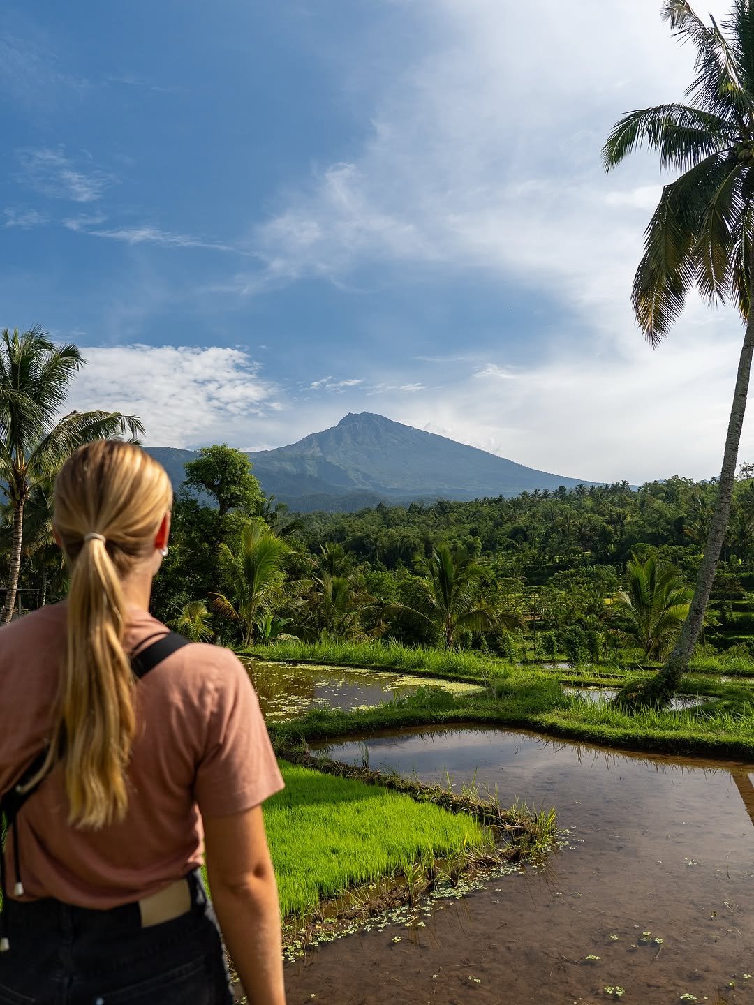 Tetebatu walking Tour: Ricefield, Waterfall, Monkey Forest. - Experience in Lombok, Indonesia 7