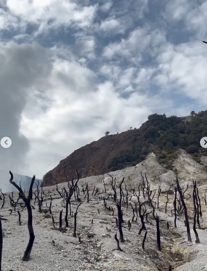 Mount Papandayan, West Java: A Journey Through Craters and Edelweiss Fields - Experience in Bandung, Indonesia 4