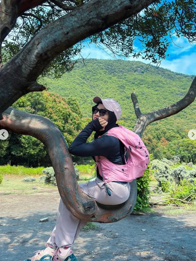 Mount Papandayan, West Java: A Journey Through Craters and Edelweiss Fields - Experience in Bandung, Indonesia 6