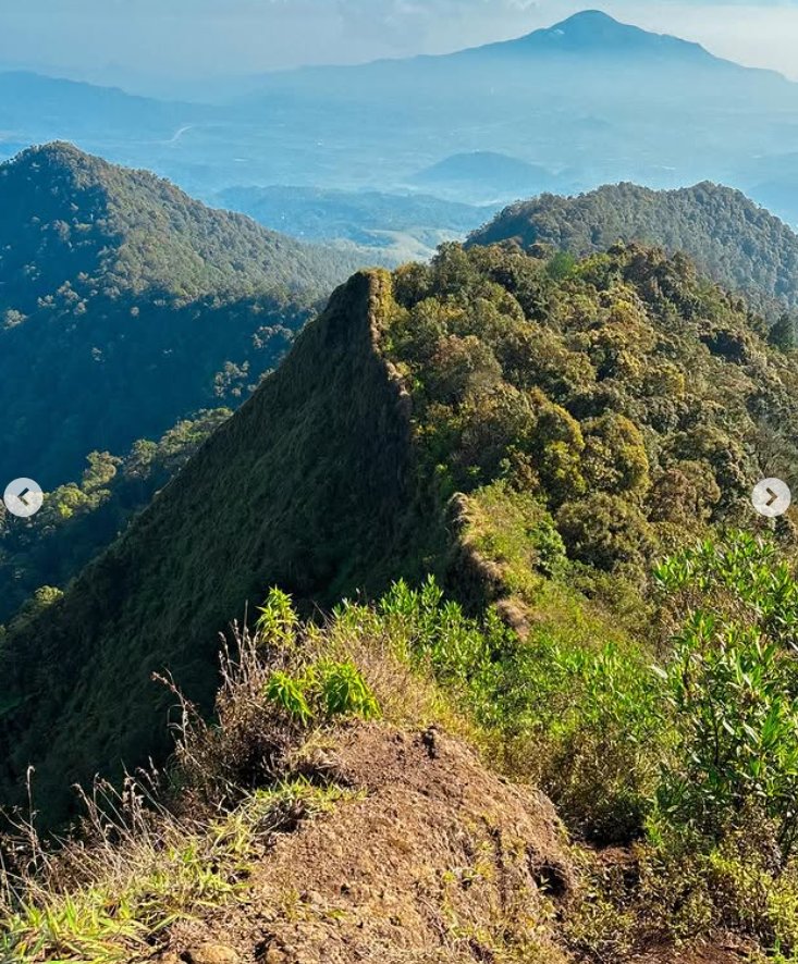 Mount Kerenceng, Bandung: A Hidden Forest Adventure - Experience in Bandung, Indonesia 4