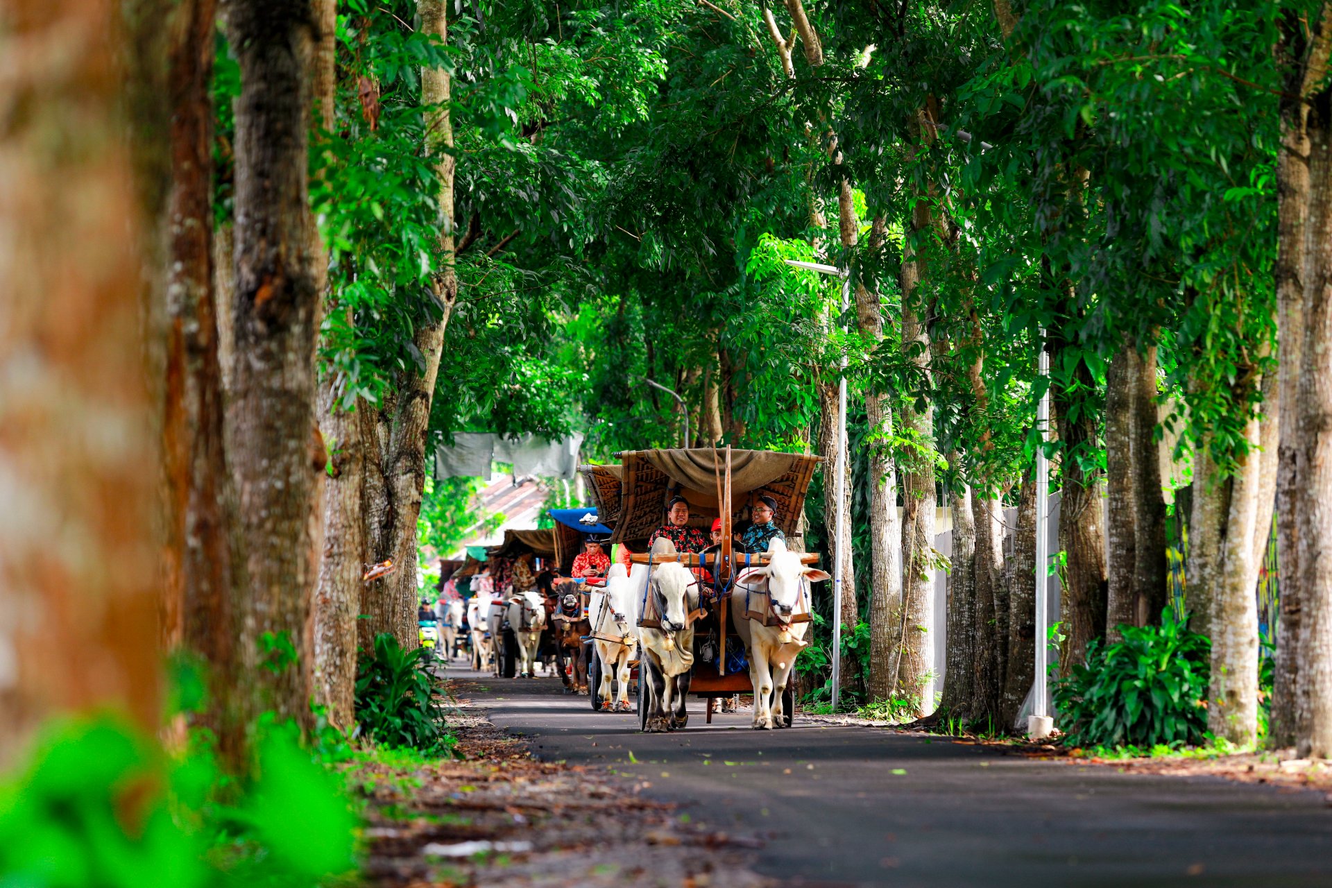 Omah Kecebong : A Cultural "One Stop Destination" in Yogyakarta - Experience in Yogyakarta, Indonesia 3