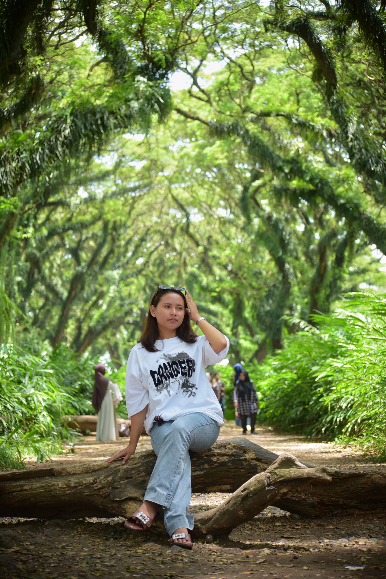 Magical forest de jawatan - Experience in Banyuwangi, Indonesia 2