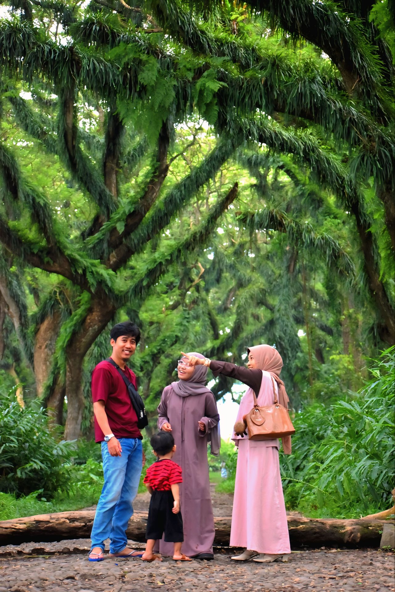 Magical forest de jawatan - Experience in Banyuwangi, Indonesia 3