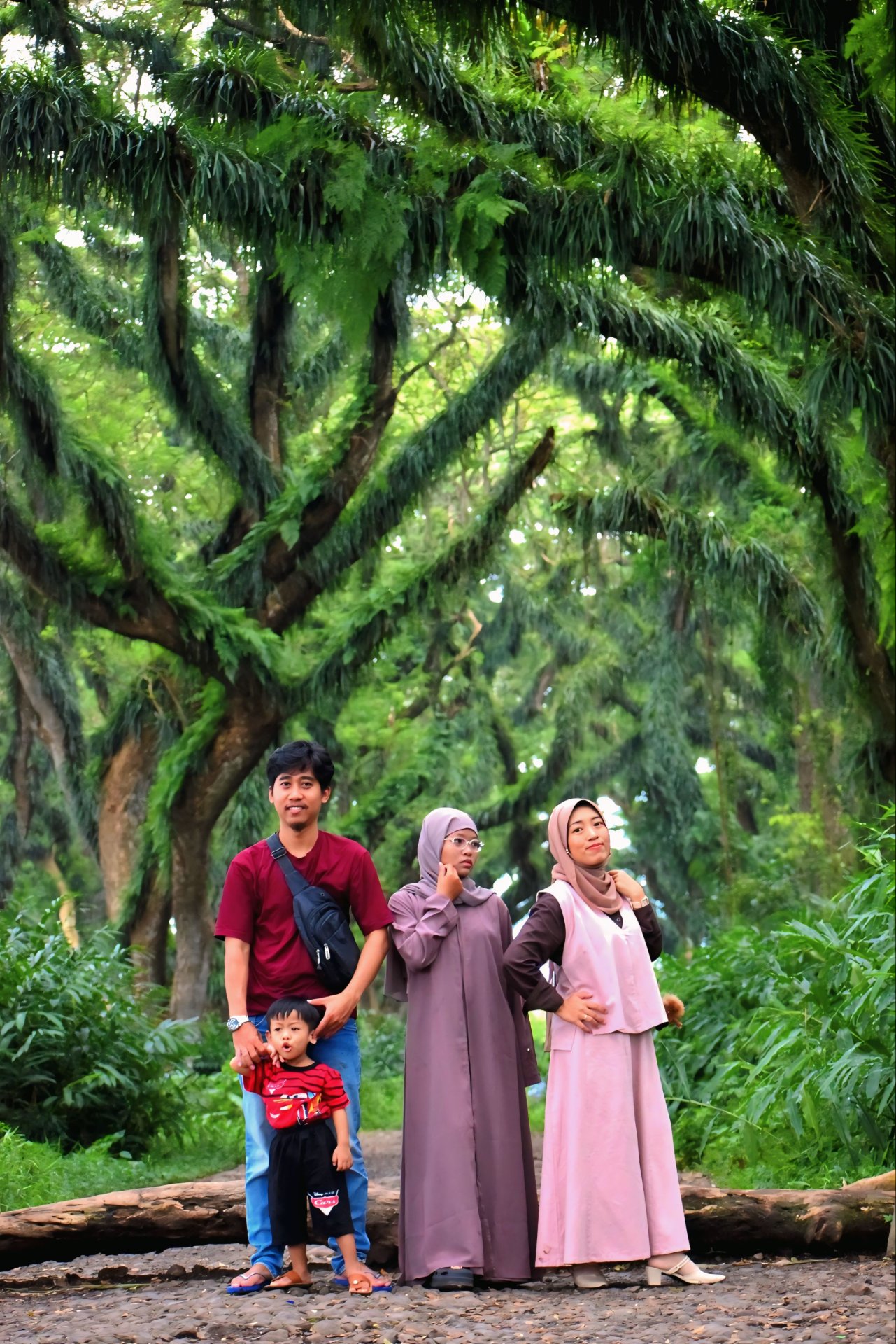 Magical forest de jawatan - Experience in Banyuwangi, Indonesia 4