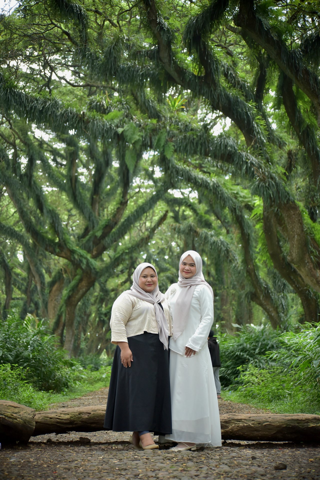 Magical forest de jawatan - Experience in Banyuwangi, Indonesia 6