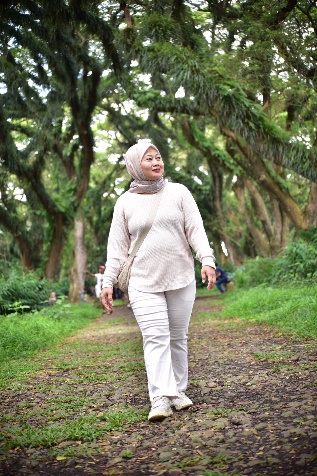 Magical forest de jawatan - Experience in Banyuwangi, Indonesia 7