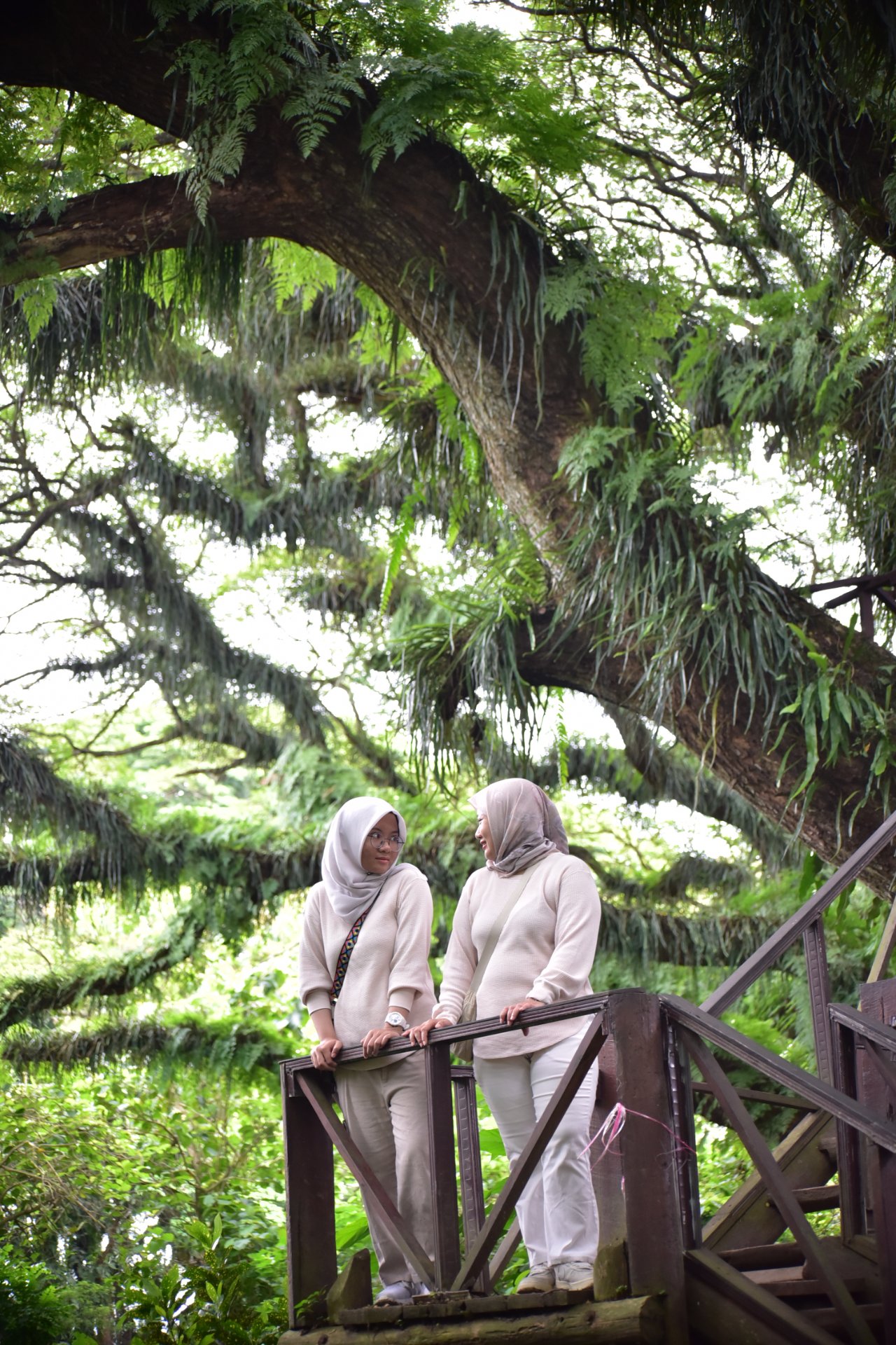 Magical forest de jawatan - Experience in Banyuwangi, Indonesia 8