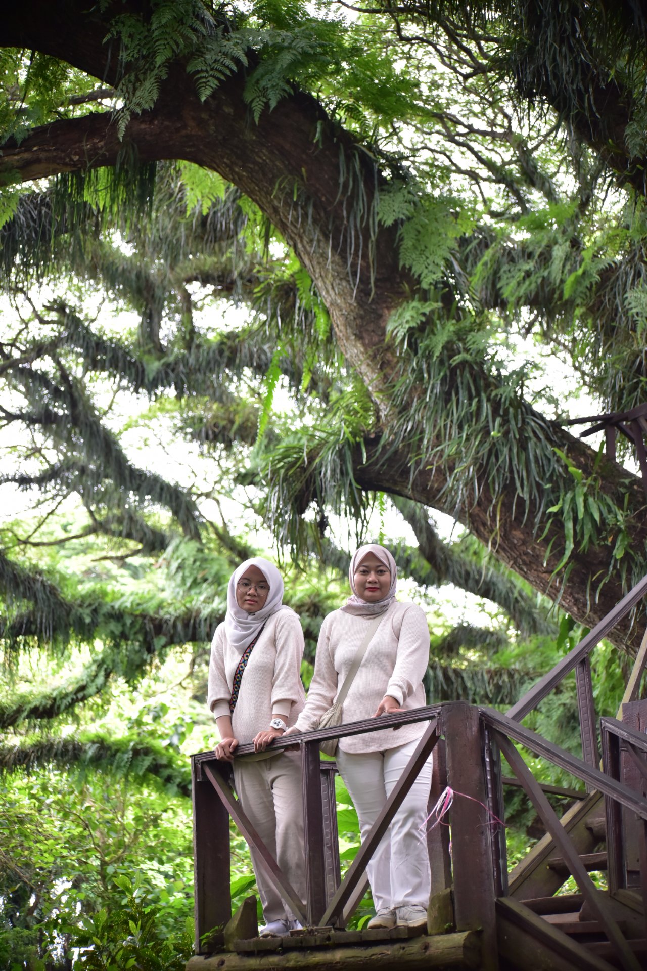 Magical forest de jawatan - Experience in Banyuwangi, Indonesia 9