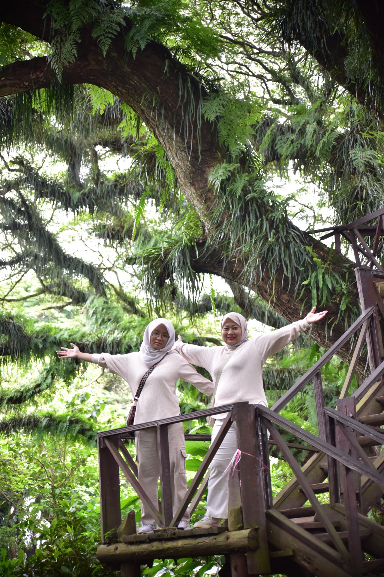 Magical forest de jawatan - Experience in Banyuwangi, Indonesia 10
