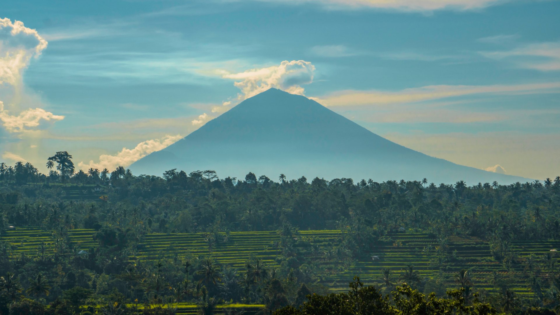 Bali Like a Local: Custom Trip Planning by a Bali-Based Expert π΄ - Experience in Bali Denpasar, Indonesia 5