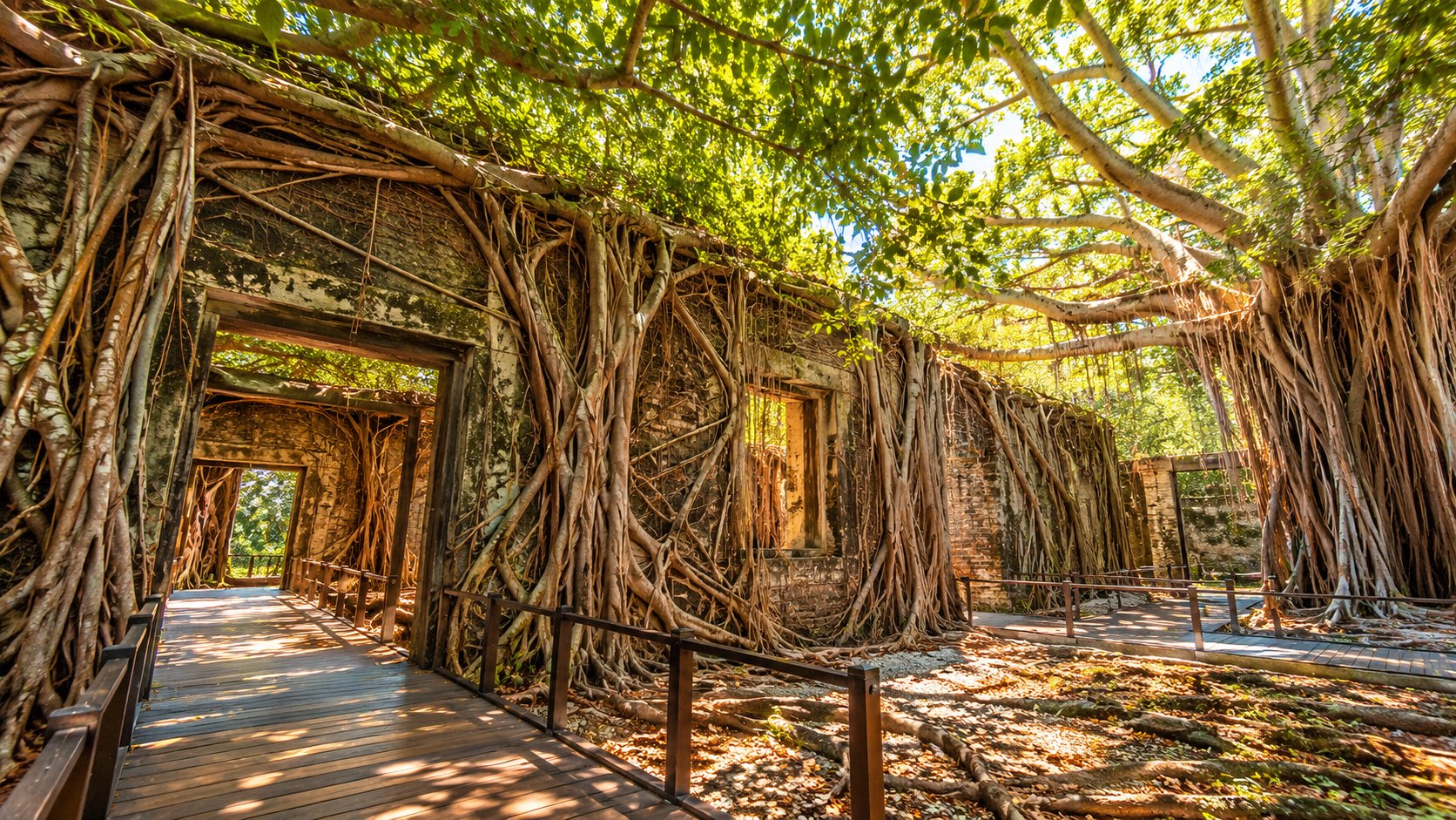 Anping Tree House, Tainan, Taiwan: Where History Slowly Disappears Into the Roots - Travel Story